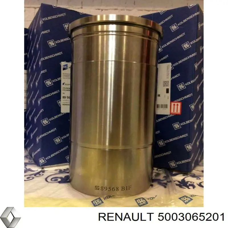 5003065201 Renault (RVI) junta anular, camisa cilindro