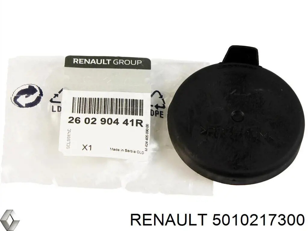 5010217300 Renault (RVI)