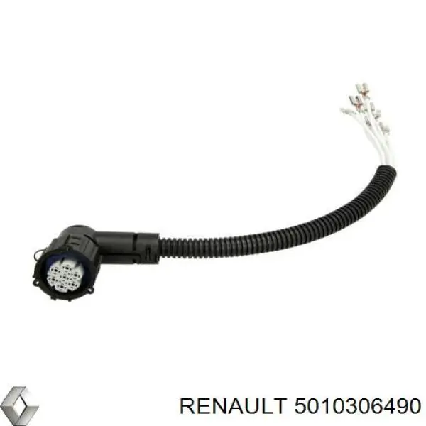 5010306490 Renault (RVI)