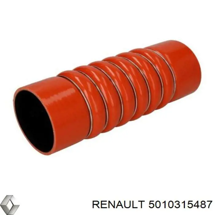5010315487 Renault (RVI) tubo flexible de aire de sobrealimentación izquierdo