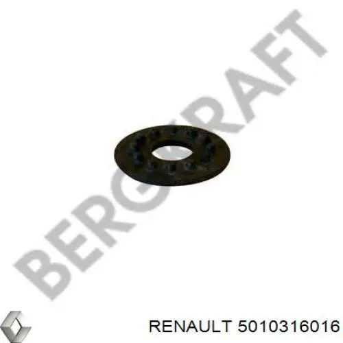 5010316016 Renault (RVI)