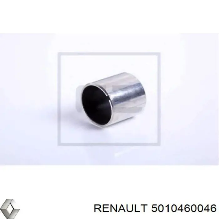 5010460046 Renault (RVI)