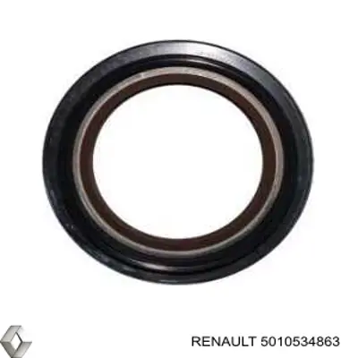 5010534863 Renault (RVI) Retén del piñón del diferencial trasero