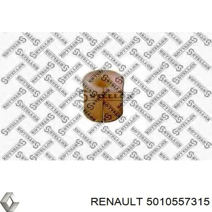 5010557315 Renault (RVI)