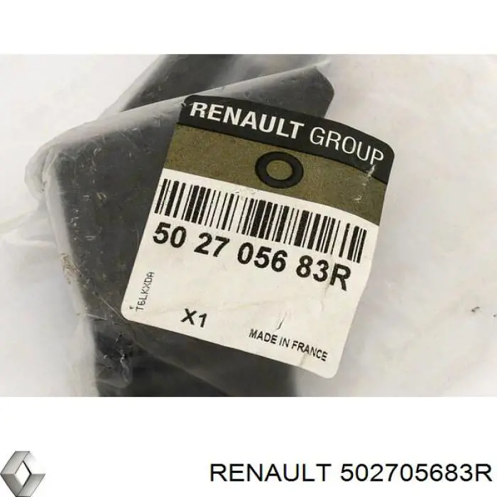 502705683R Renault (RVI)