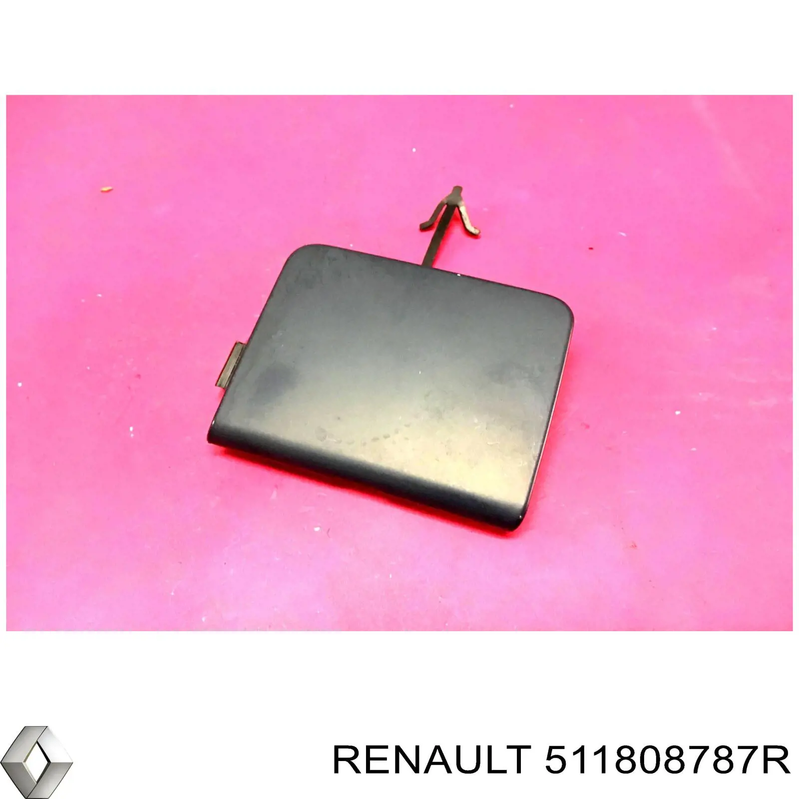 511808787R Renault (RVI)