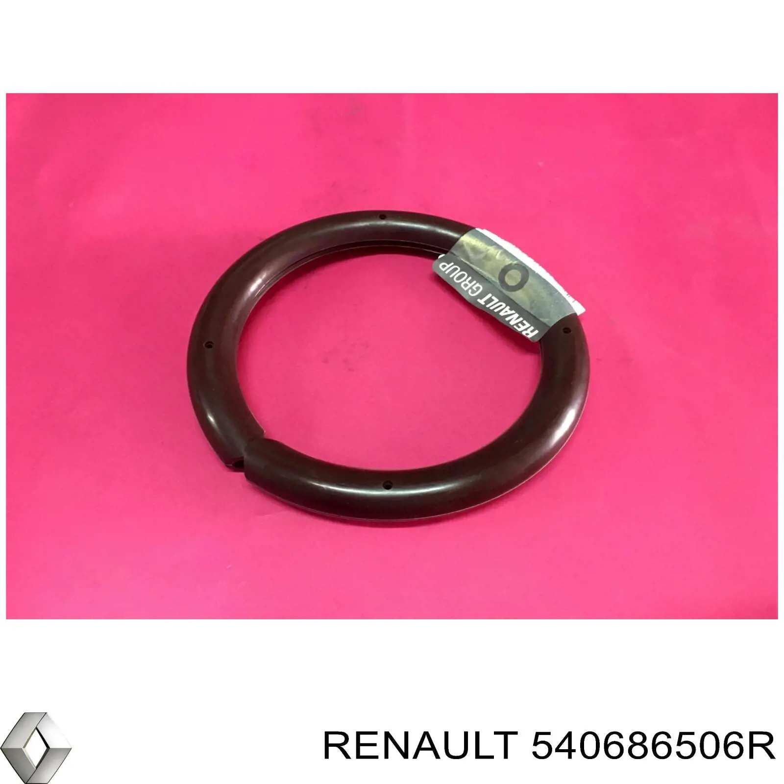  Renault (RVI) 540686506R precio, desde 36,50 EUR