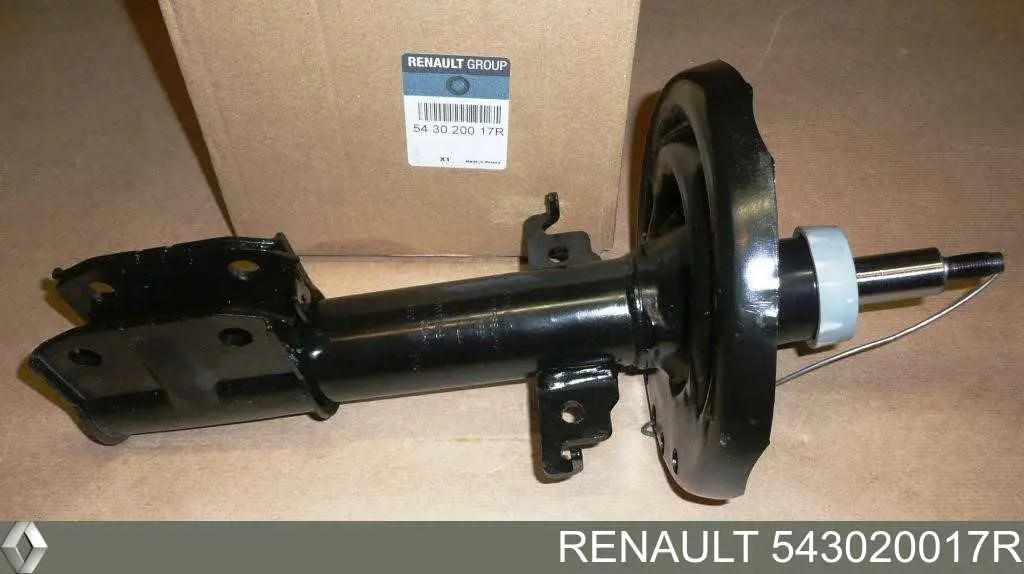 Amortiguadores Renault (RVI) 543020017R precio, desde 53,44 EUR