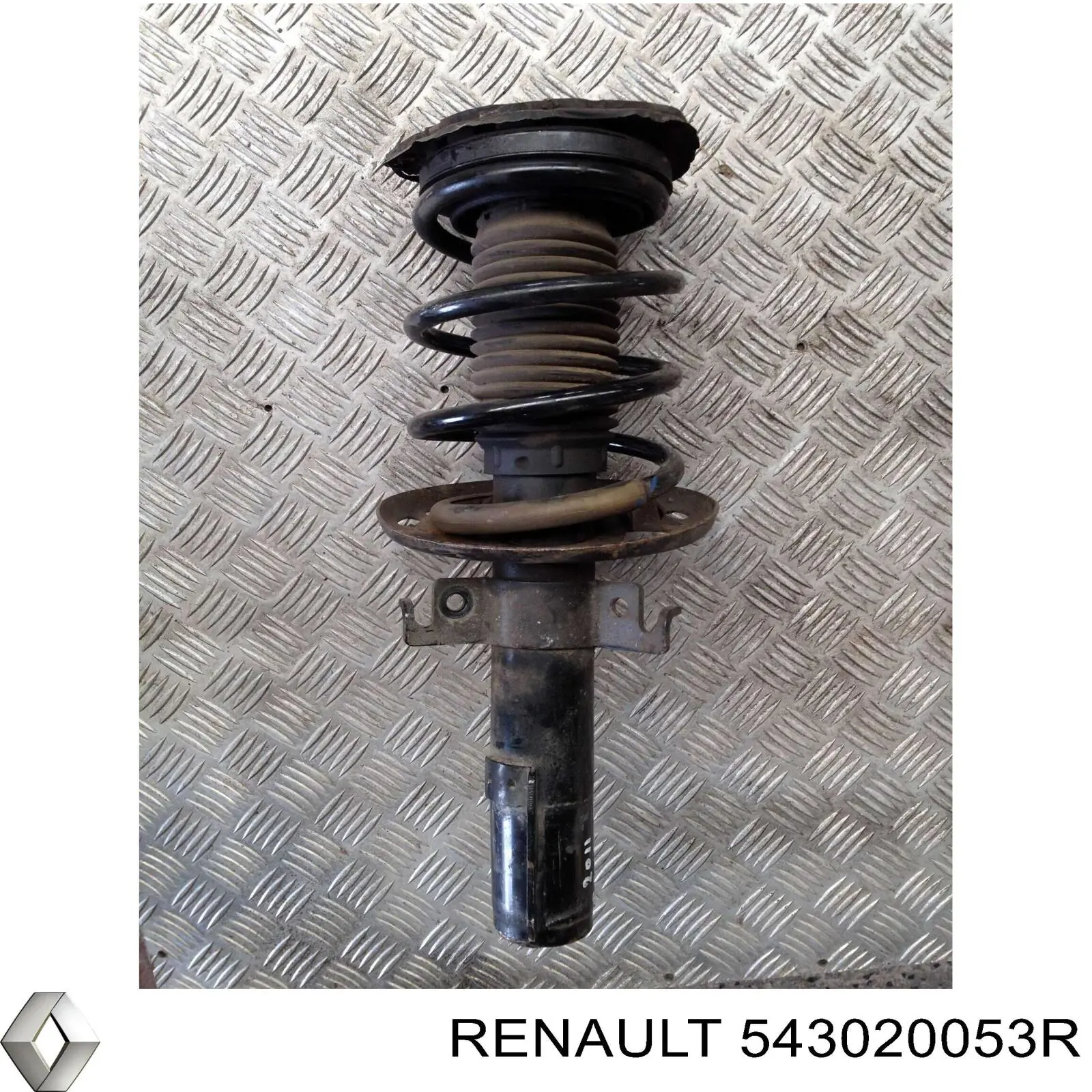 Amortiguadores Renault (RVI) 543020053R precio, desde 124,49 EUR