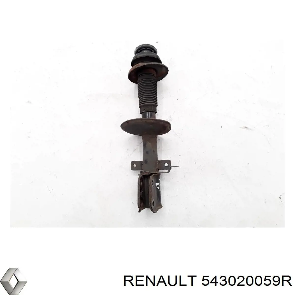 Amortiguadores Renault (RVI) 543020059R precio, desde 123,45 EUR