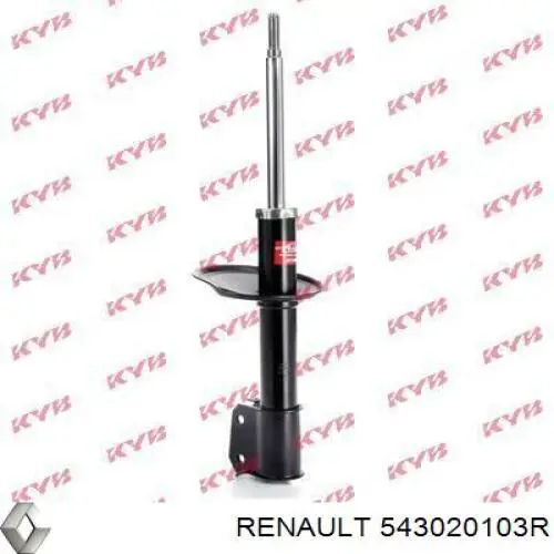 Amortiguadores Renault (RVI) 543020103R precio, desde 48,83 EUR