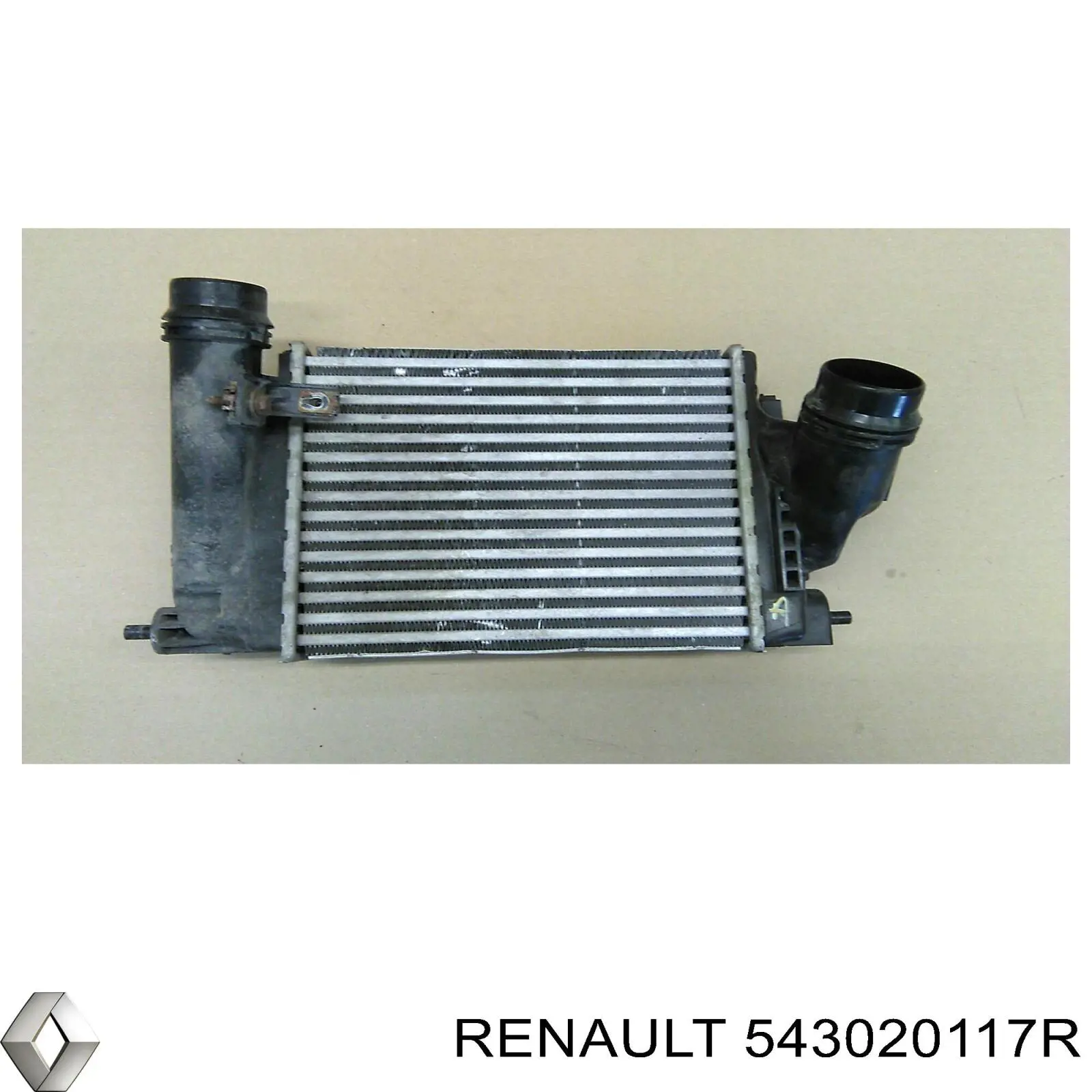 Amortiguadores Renault (RVI) 543020117R precio, desde 80,79 EUR