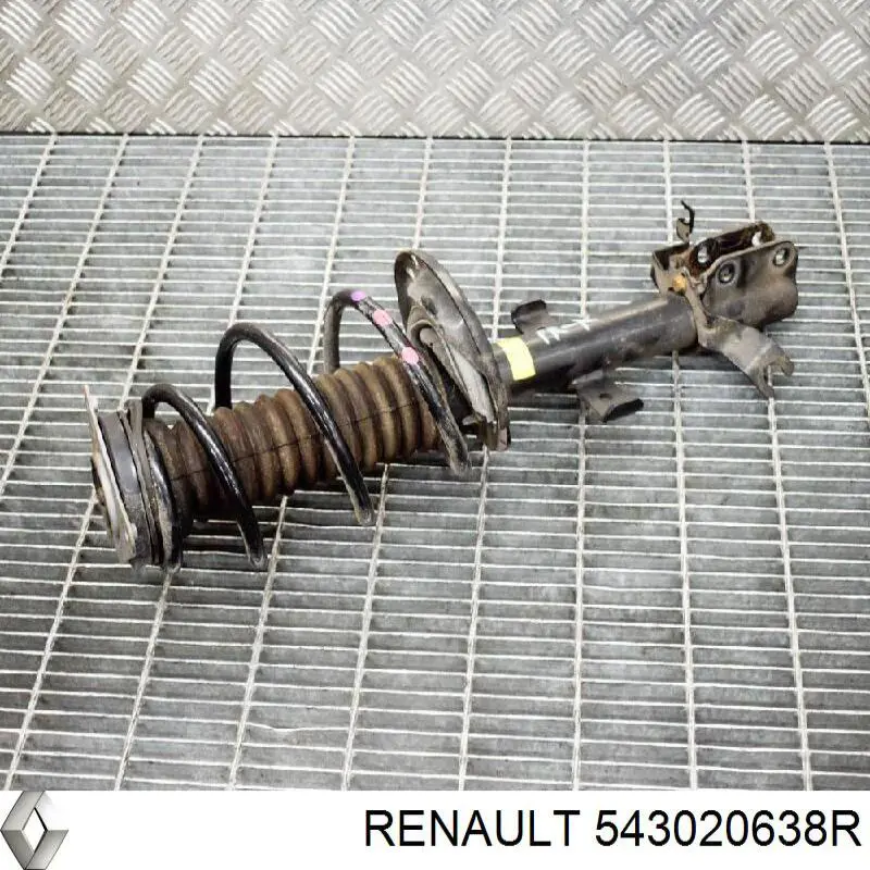 Amortiguadores Renault (RVI) 543020638R precio, desde 69,19 EUR