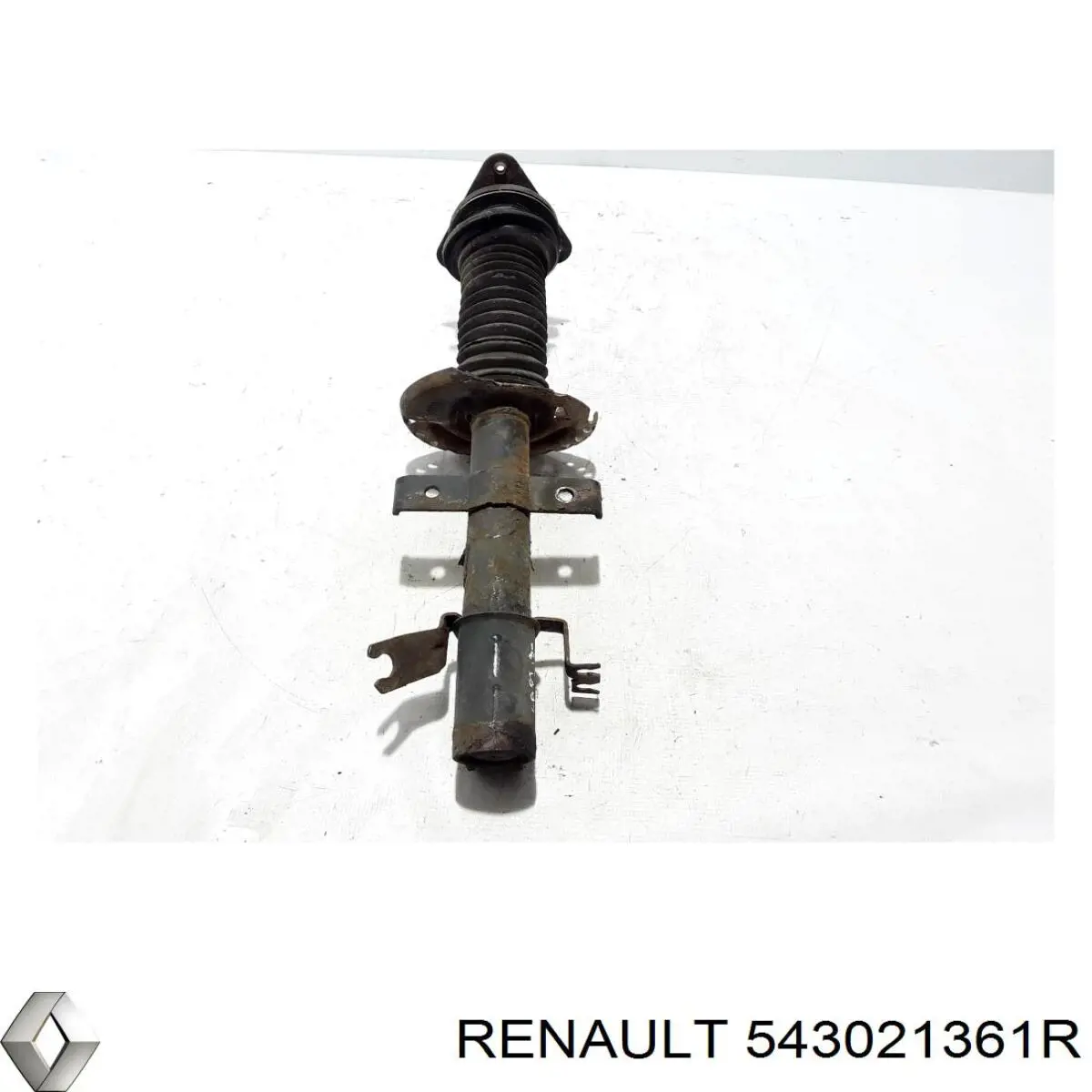 543021361R Renault (RVI) amortiguador delantero