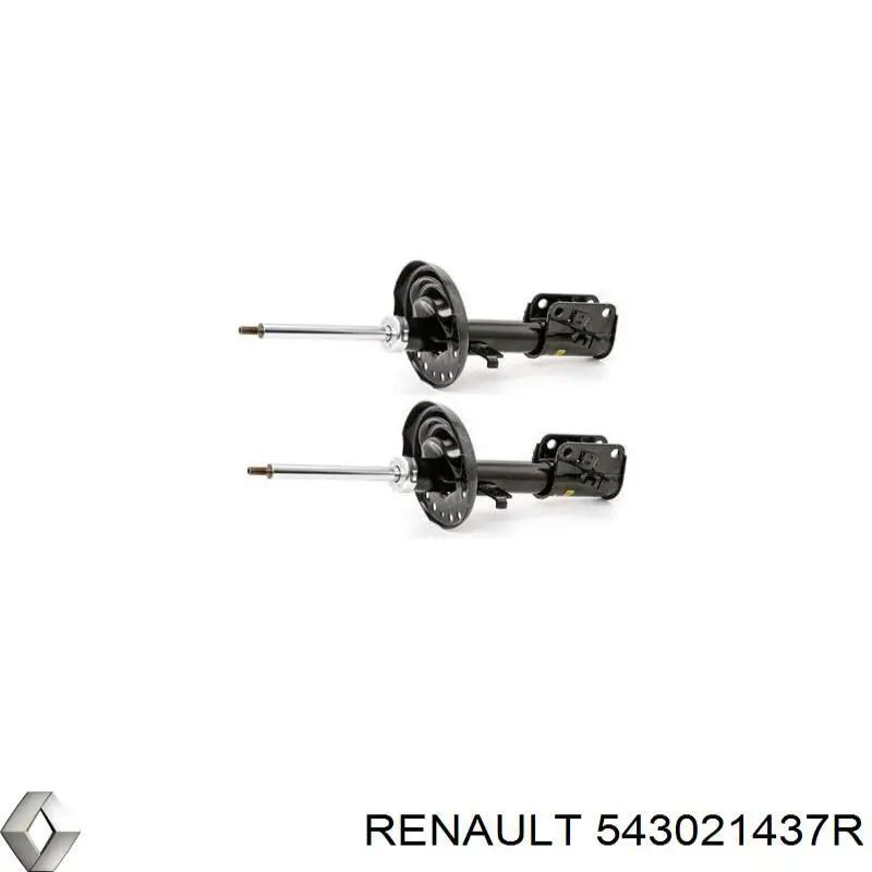 Amortiguadores Renault (RVI) 543021437R precio, desde 40,54 EUR