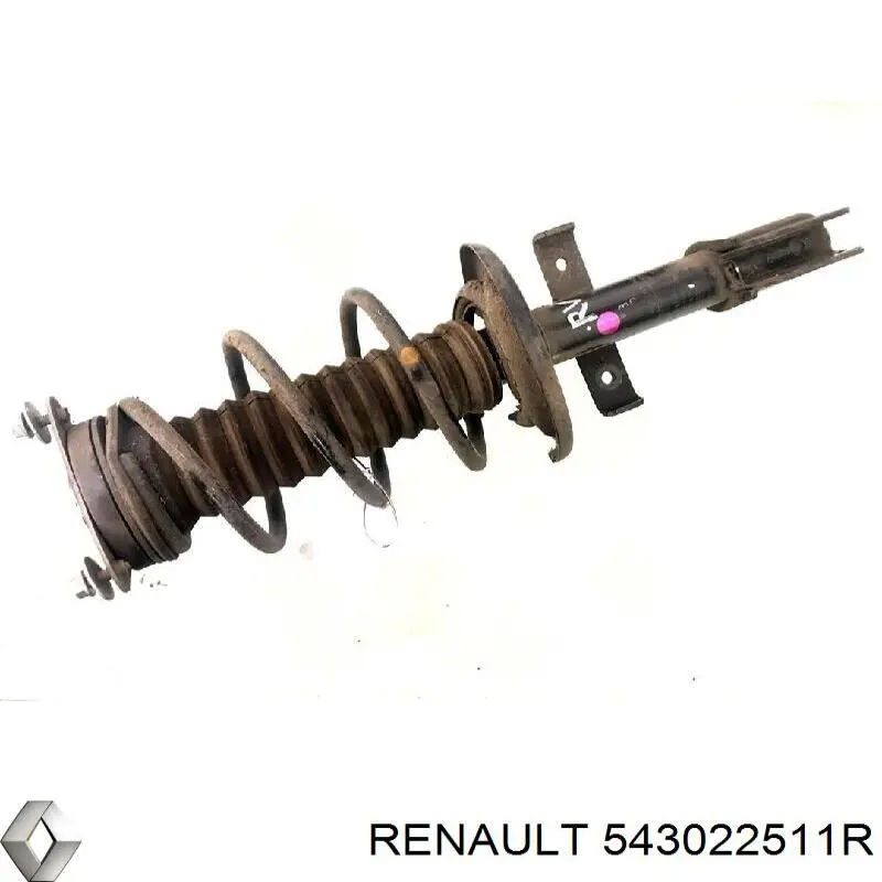 Amortiguadores Renault (RVI) 543022511R precio, desde 52,29 EUR