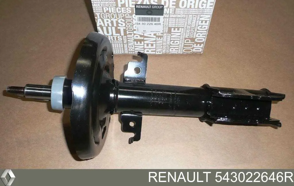 Amortiguadores Renault (RVI) 543022646R precio, desde 53,44 EUR