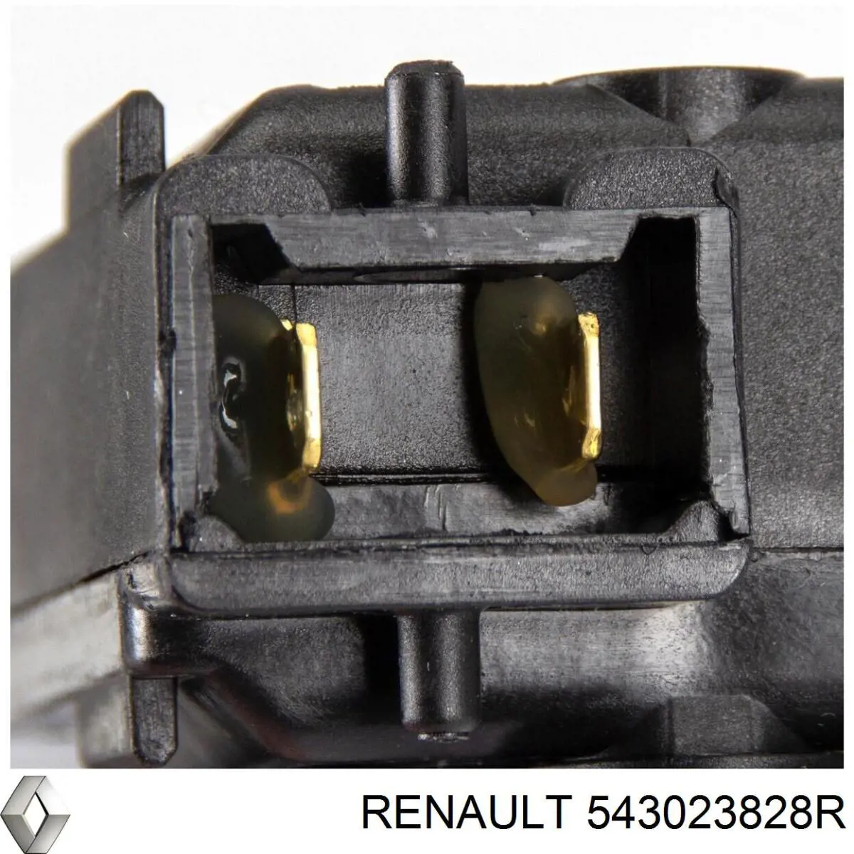 Amortiguadores Renault (RVI) 543023828R precio, desde 75,50 EUR