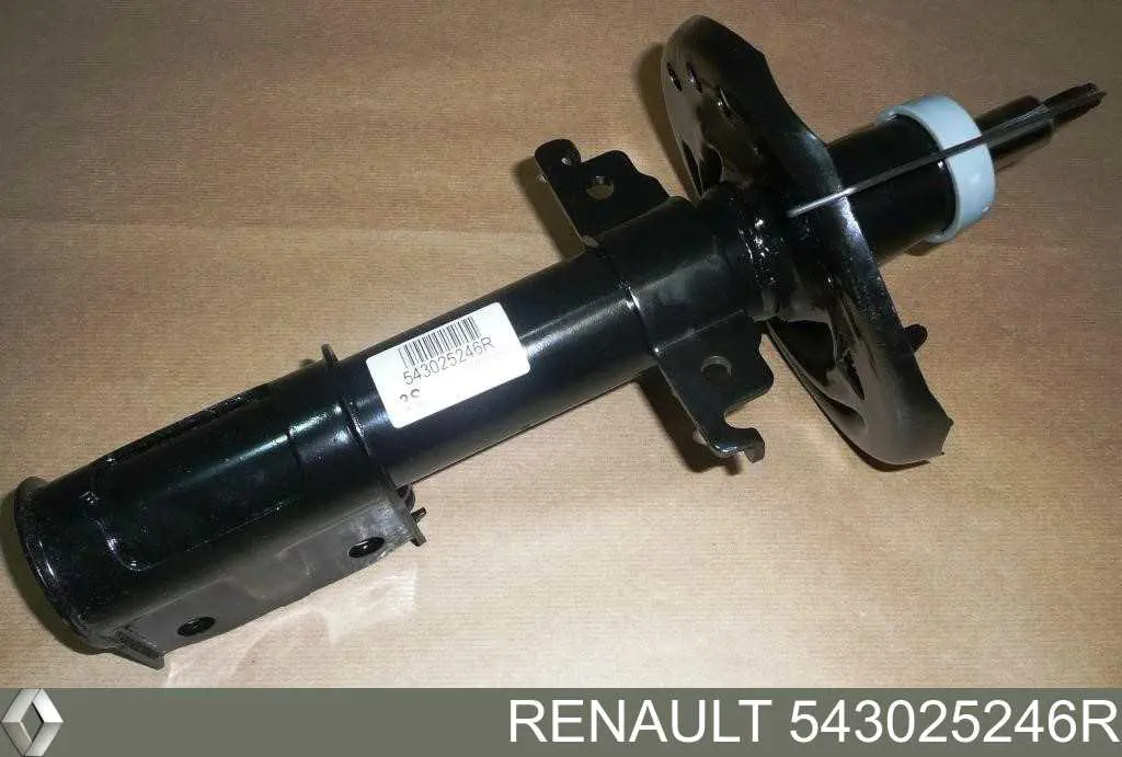 Amortiguadores Renault (RVI) 543025246R precio, desde 53,44 EUR