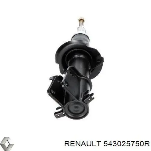 543025750R Renault (RVI) amortiguador delantero