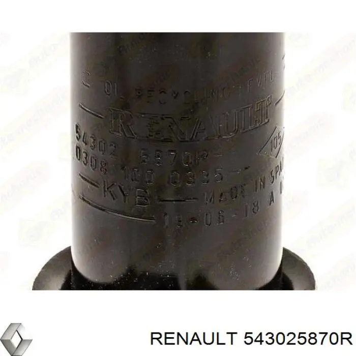 543025870R Renault (RVI) amortiguador delantero