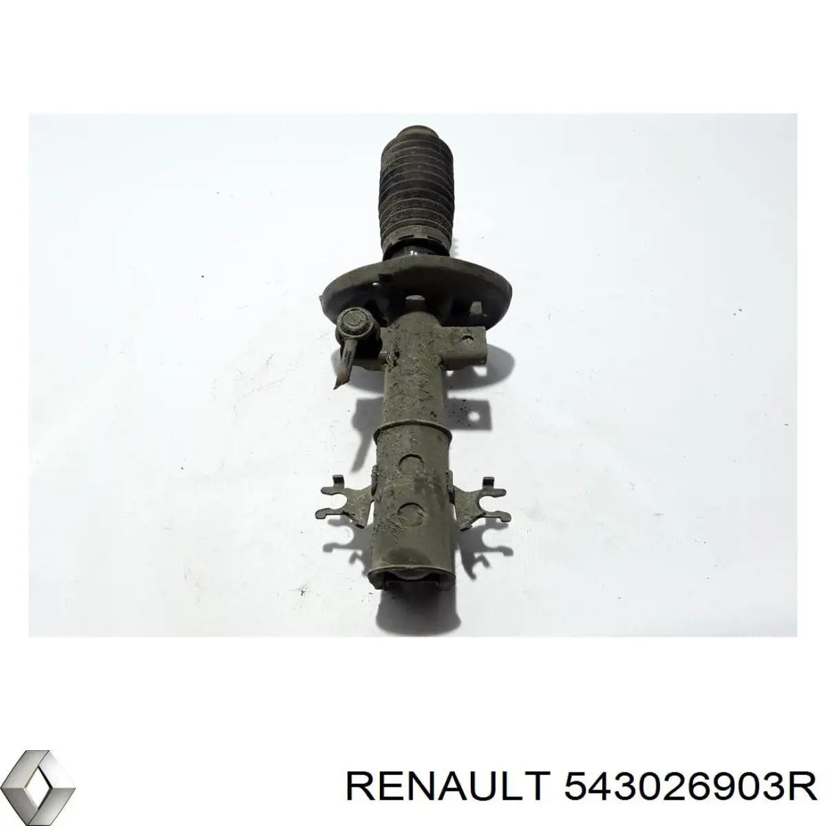 Amortiguador delantero derecho Renault (RVI) 543026903R precio, desde 88,15 EUR