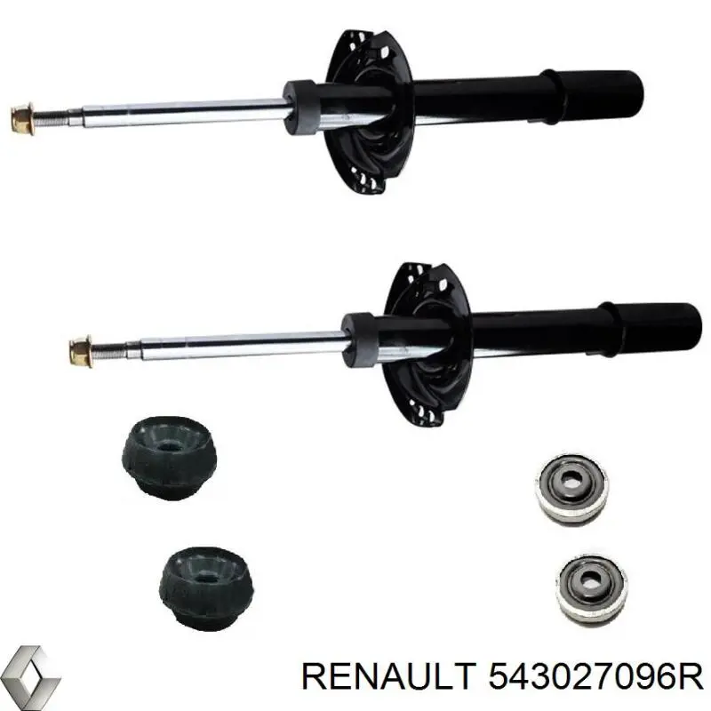Amortiguadores Renault (RVI) 543027096R precio, desde 42,11 EUR