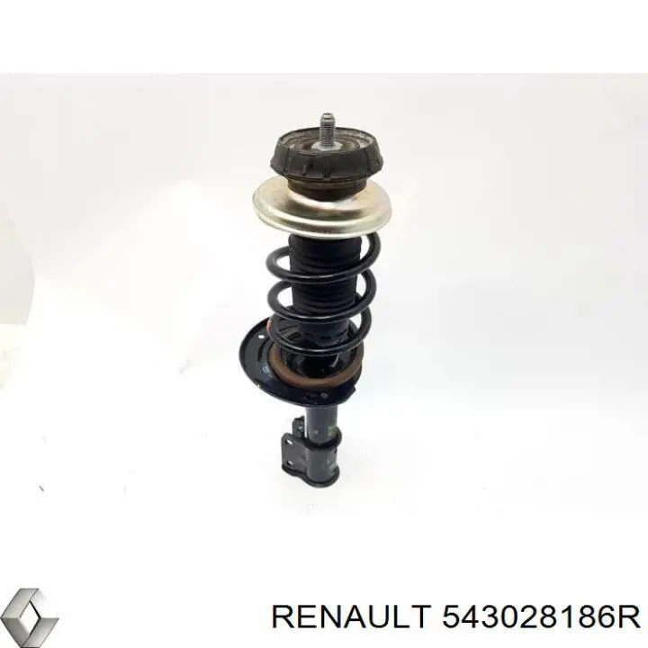 Amortiguadores Renault (RVI) 543028186R precio, desde 53,91 EUR