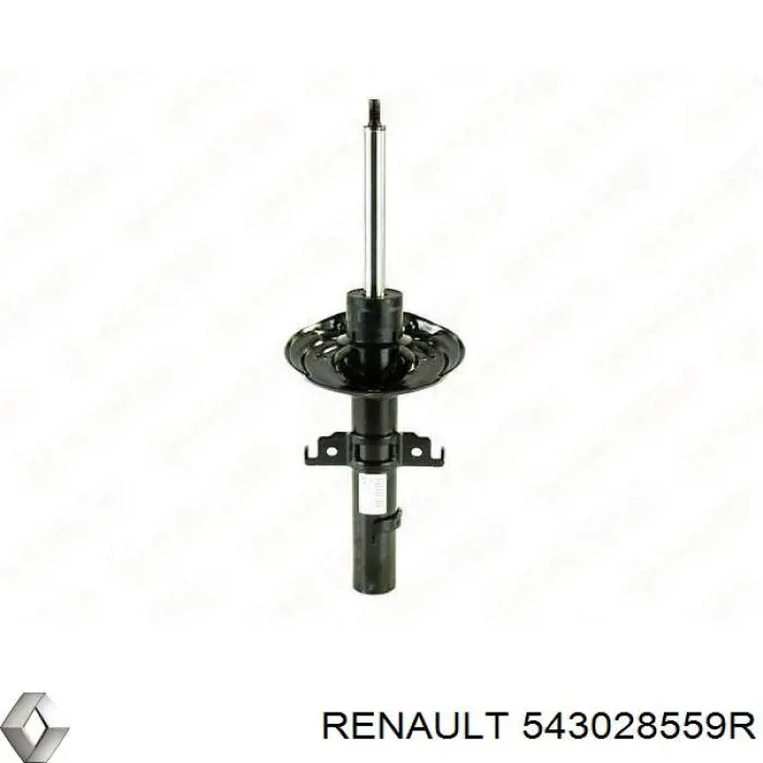 Amortiguadores Renault (RVI) 543028559R precio, desde 64,47 EUR