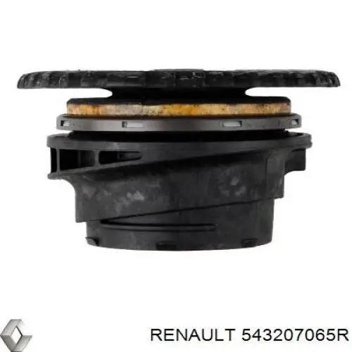 Soporte amortiguador delantero Renault (RVI) 543207065R