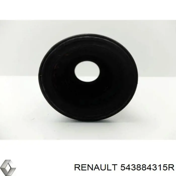 Comprar 543884315R Renault (RVI) Fuelle, amortiguador delantero