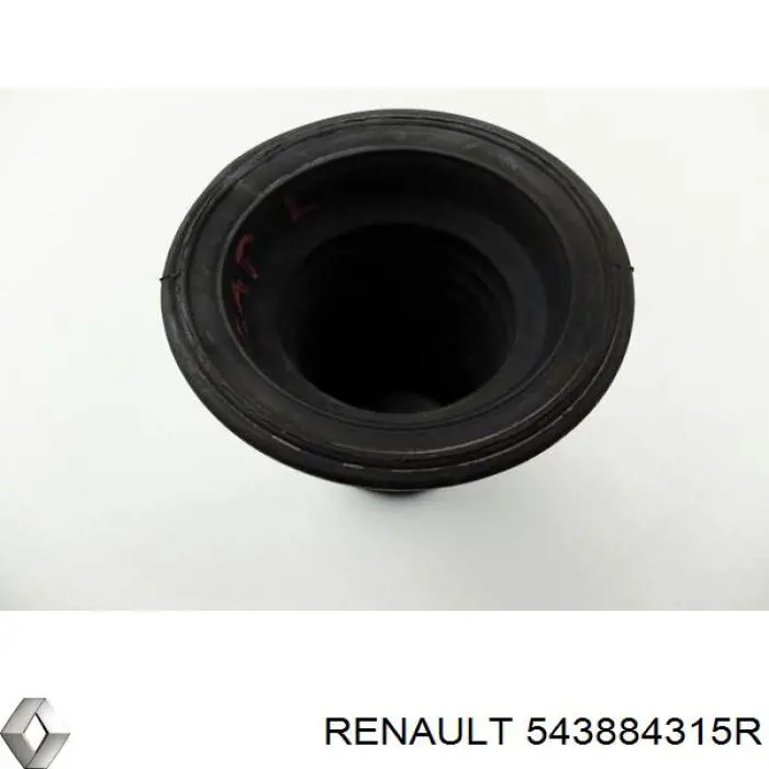 543884315R Renault (RVI) fuelle, amortiguador delantero