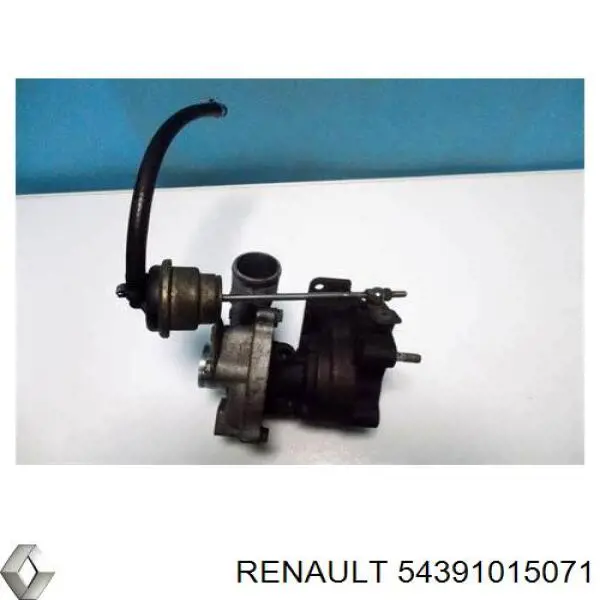 54391015071 Renault (RVI)