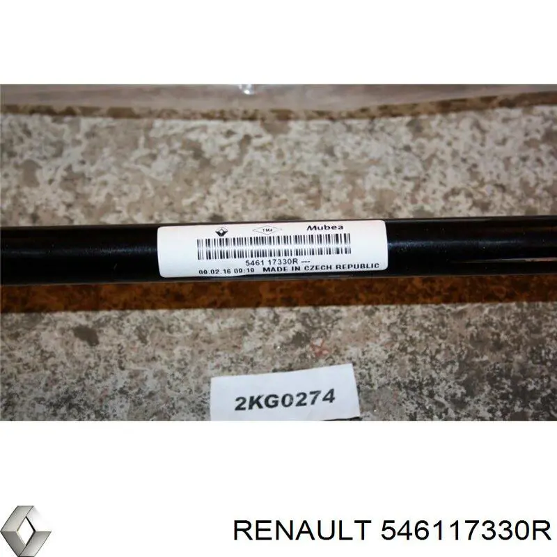 546117330R Renault (RVI)