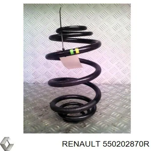 550202870R Renault (RVI) Muelle trasero