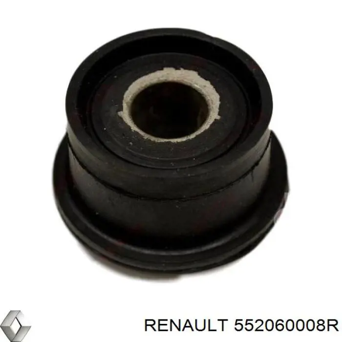 552060008R Renault (RVI)