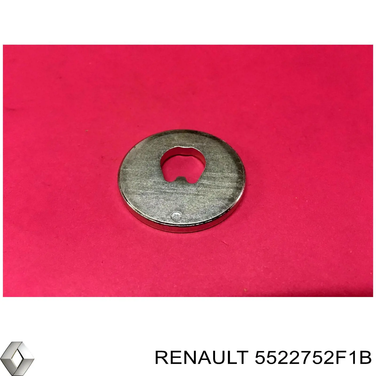 5522752F1B Renault (RVI)