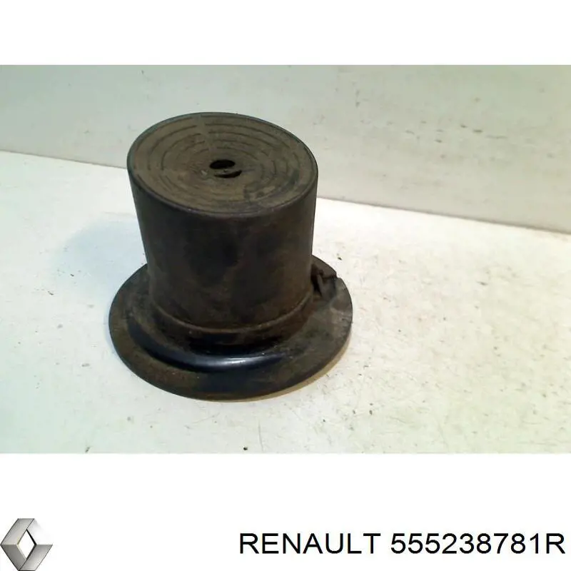 555238781R Renault (RVI)