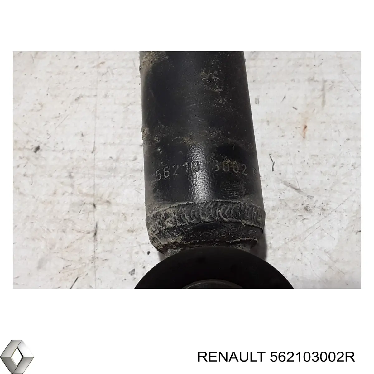 562103002R Renault (RVI) Amortiguadores posteriores