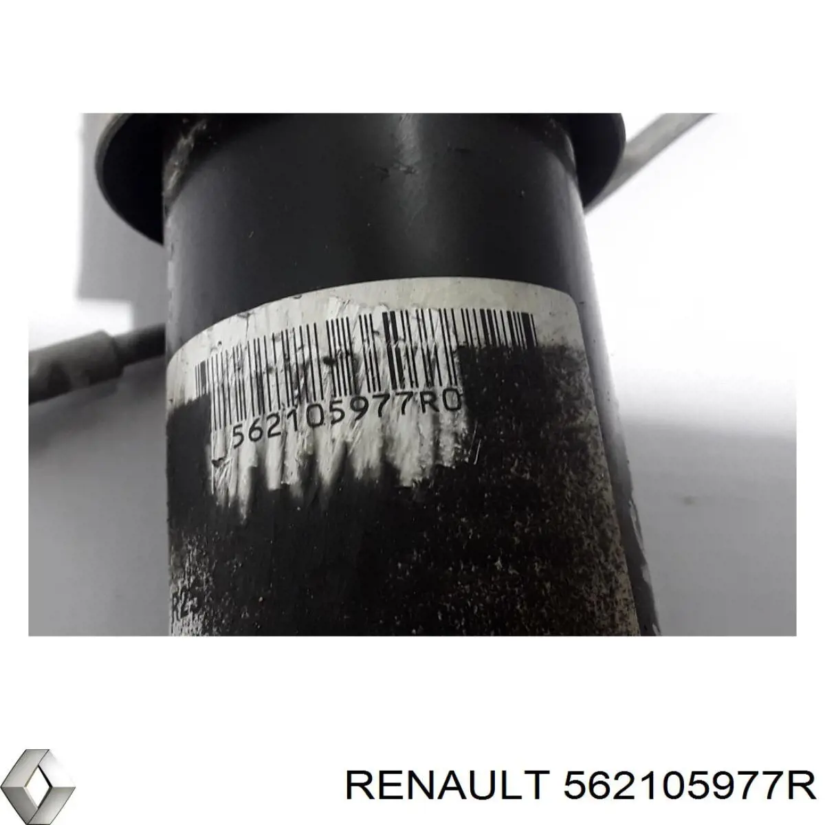  562105977R Renault (RVI)
