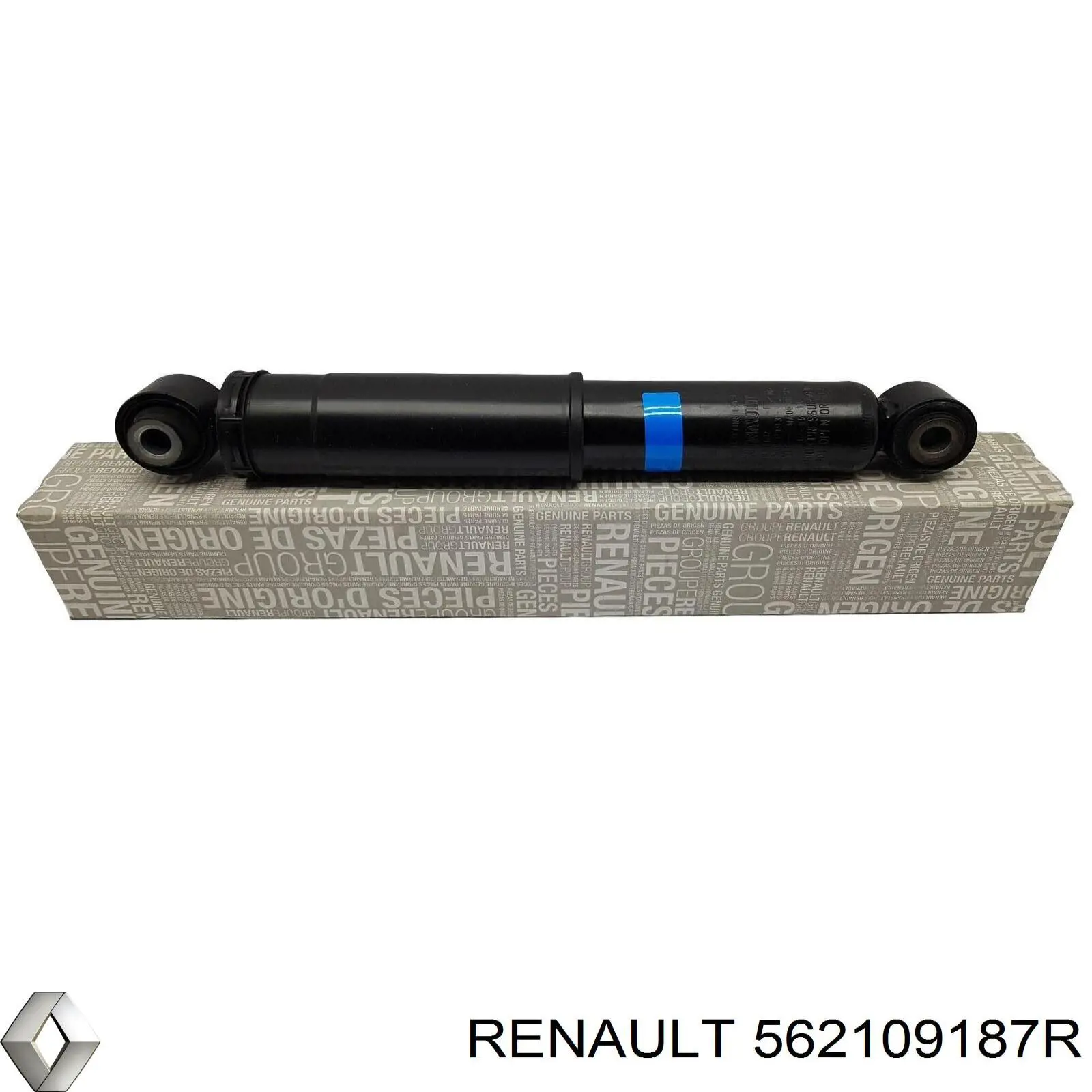 562109187R Renault (RVI)