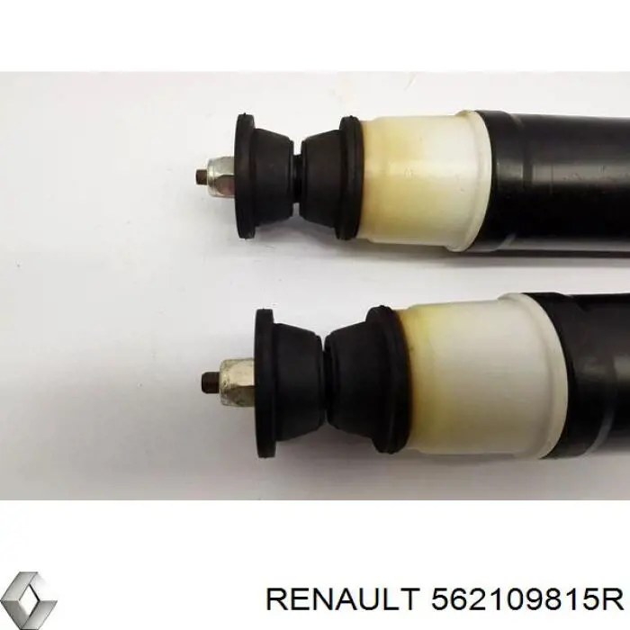 562109815R Renault (RVI) Amortiguadores posteriores
