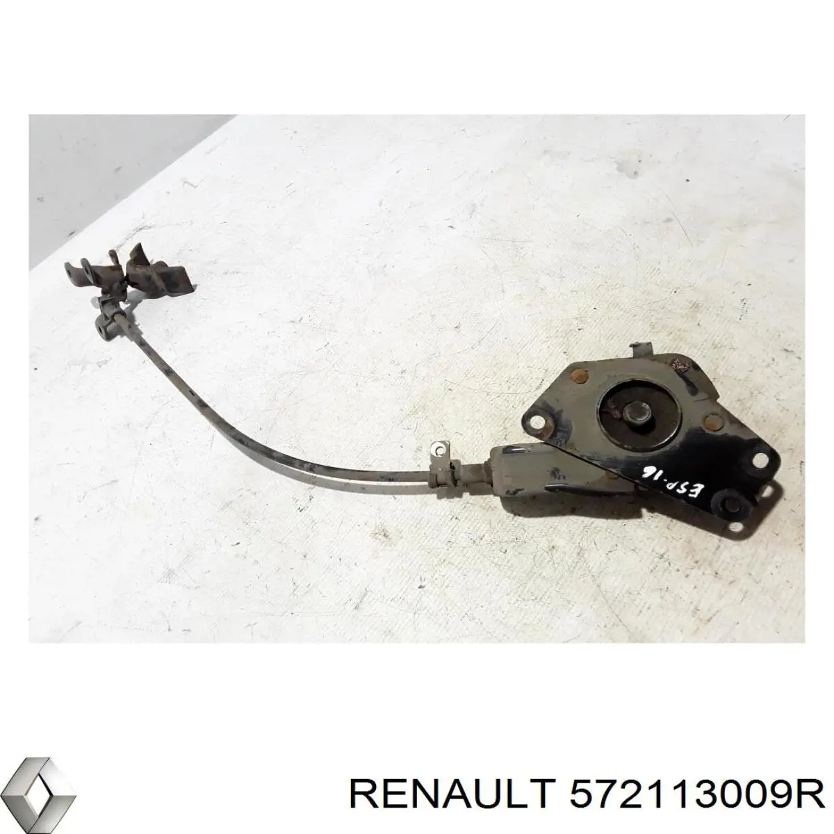Cabrestante de rueda de repuesto Renault (RVI) 572113009R precio, desde 365,90 EUR