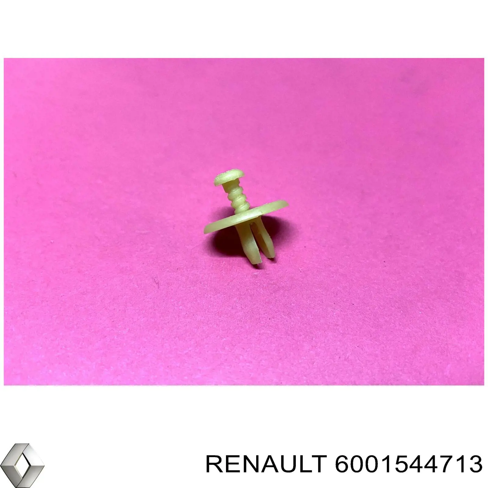 6001544713 Renault (RVI)