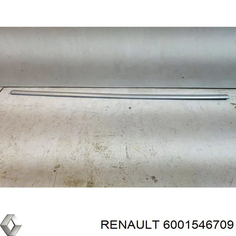6001546709 Renault (RVI) moldura de la puerta trasera derecha