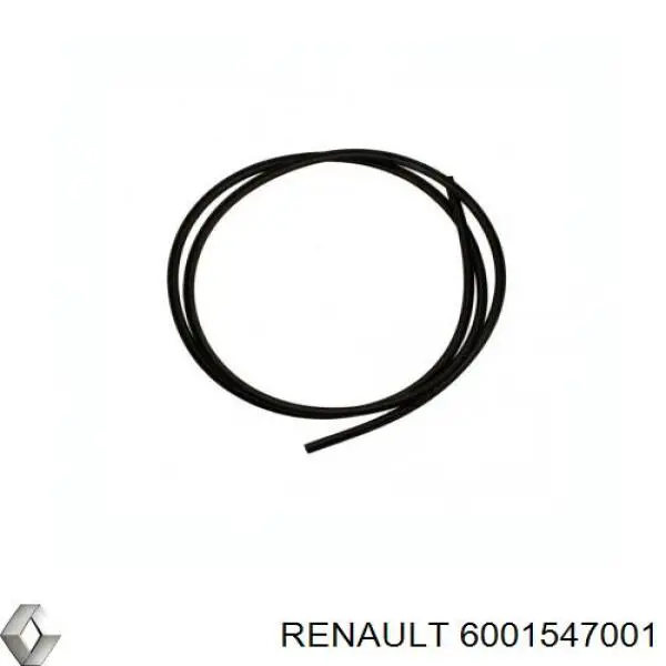 Moldura de parabrisas inferior Renault (RVI) 6001547001