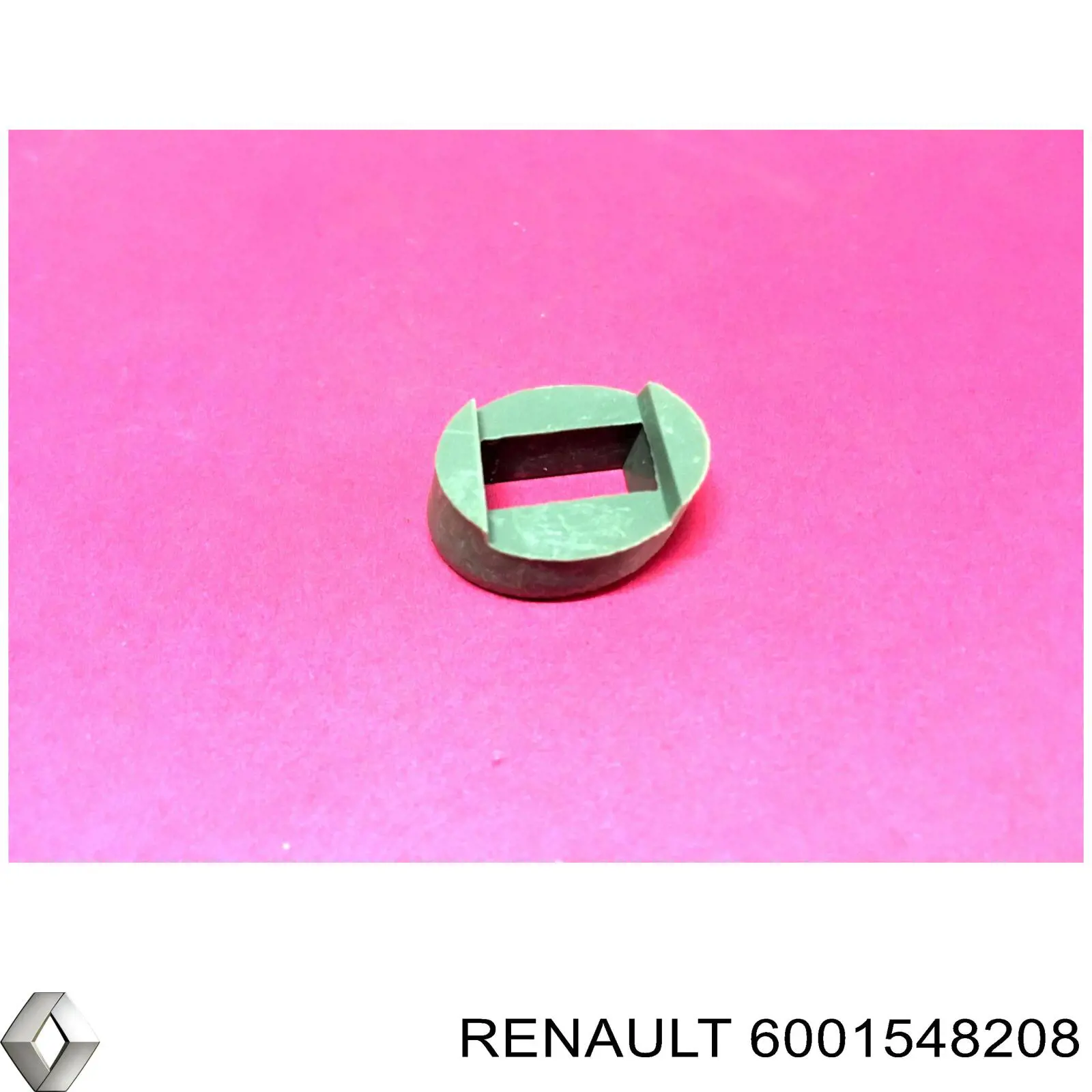 6001548208 Renault (RVI)