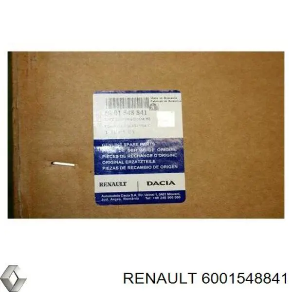 6001548841 Renault (RVI) puerta trasera izquierda