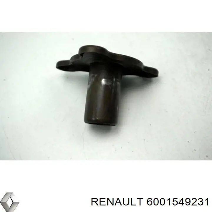 6001549231 Renault (RVI)