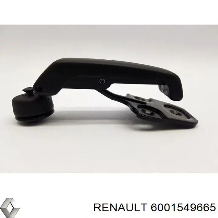 6001549665 Renault (RVI)